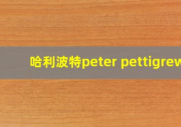 哈利波特peter pettigrew